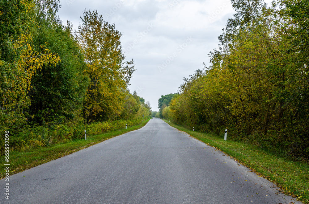 Empty asphalt road on a rainy autumn day. Autumn cloudy weather.