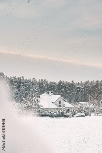 Cozy home exterior in winter. Wooden house in a nature area covered with freshly fallen snow.