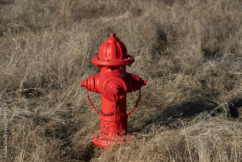 Bright Red Fire Hyrdrant in Tall, Dry Grass