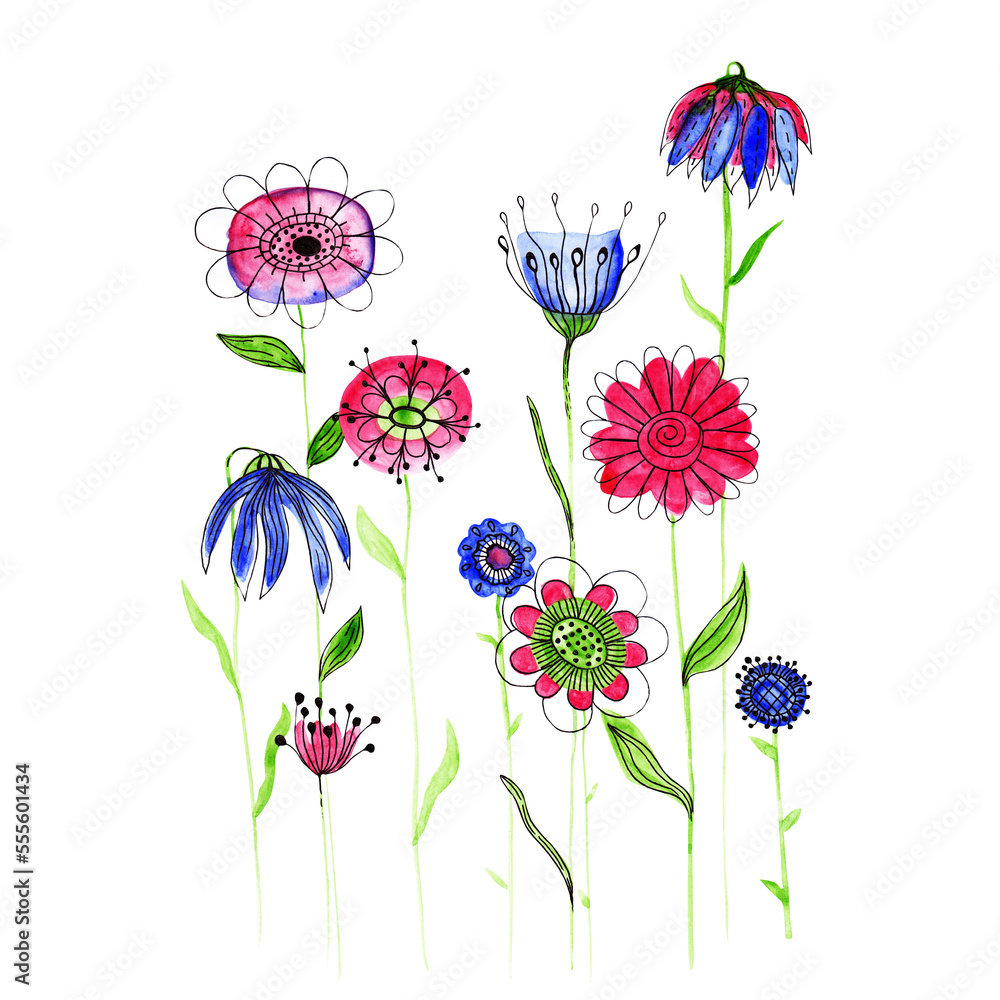 Flowers isolated on a white background. Abstract watercolor floral elements. Colorful wildflower, daisy, tulip, and coneflower. Field illustration. Beautiful meadow clipart set. Blue and red flowers