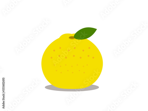 葉っぱのついた柚子のシンプルなベクターアイコン