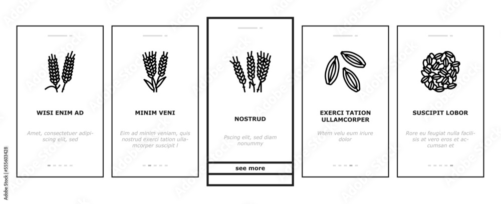barley cereal grain harvest onboarding mobile vector. agriculture food, wheat crop, seed bread, organic plant, rye farm, healthy, nature barley cereal grain harvest illustrations