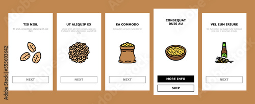 barley cereal grain harvest onboarding mobile vector. agriculture food, wheat crop, seed bread, organic plant, rye farm, healthy, nature barley cereal grain harvest illustrations