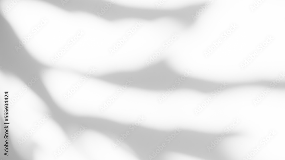 Obraz premium Abtract Overlay Shadow Leaves on Grey Cement Background,Texture Surface Design Vintage Styles Backdrop,Mock Up Free Space Marble Stone Display,Interior Autune Wall Room,Blur White Wall Loft Empty Gray