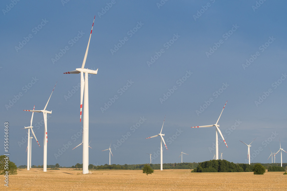 Fototapeta premium landscape with wind power