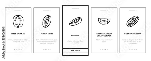 kiwi fruit green fresh slice onboarding mobile vector. juicy healthy, food ripe, sweet cut, vegetarian half, freshness organic, ingredient kiwi fruit green fresh slice illustrations