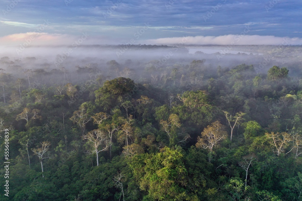 Fototapeta premium Sunrise over the Amazon