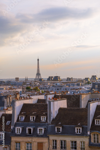 City day view of Parisian rooftops and wrought-iron Eiffel Tower. Famous landmark, cultural icon, and tourist attraction in Paris, France. Vertical background, copy space. Romantic travel destination.
