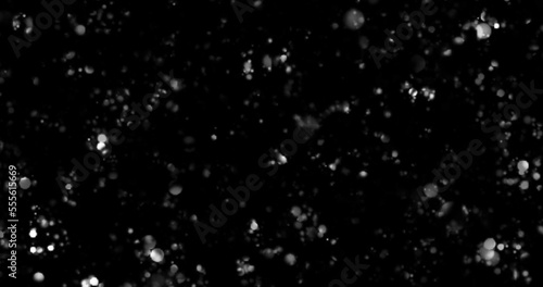 Random flashing and glittering white lights on black background  © Asha Natasha