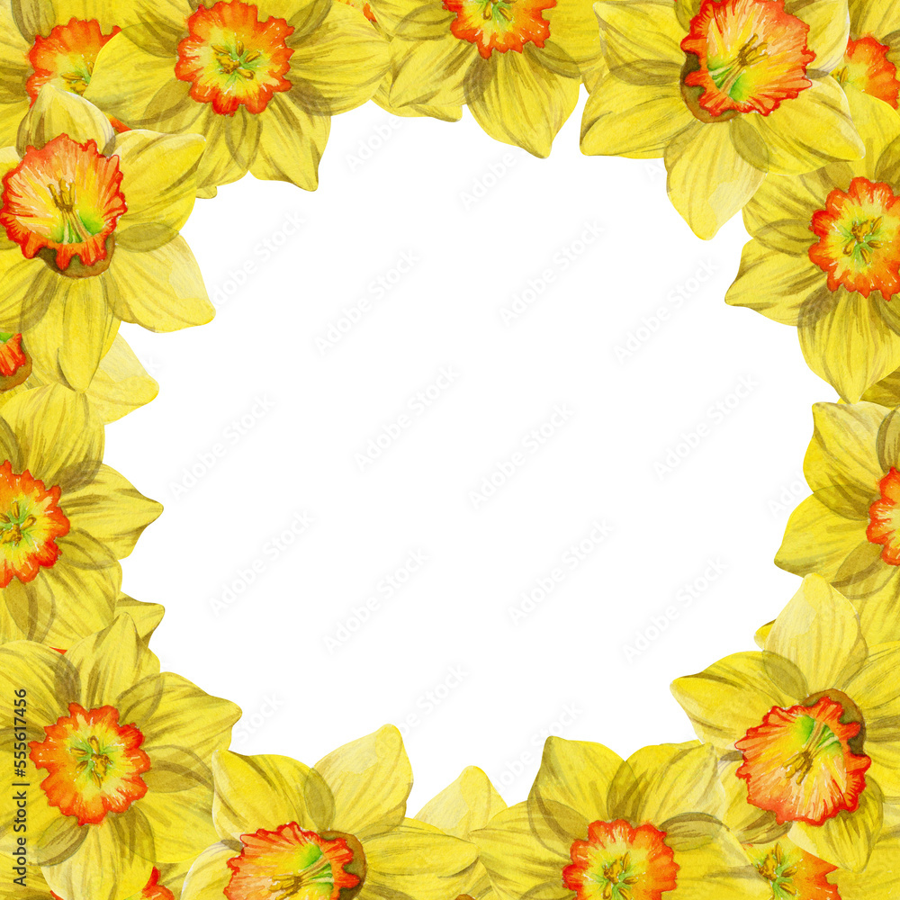 Watercolor hand drawn circle wreath with spring flowers, daffodils, crocus, snowdrops, leaves. Isolated on white background. Design for invitations, wedding, greeting cards, wallpaper, print, textile. Watercolor hand drawn circle wreath with spring flowers, daffodils, crocus, snowdrops, leaves. Isolated on white background. Design for invitations, wedding, greeting cards, wallpaper, print, textile.