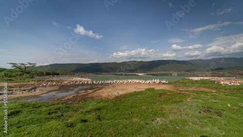 beautiful sunset over Lake Baringo with pink flamingos in the foreground