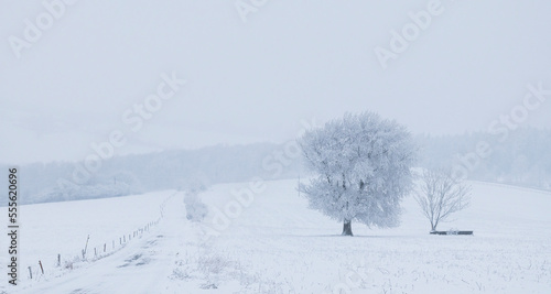 winter, forester, snow