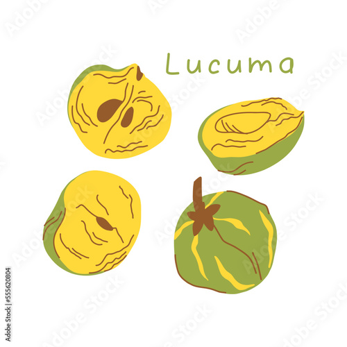 Lucuma fruit illustration in cartoon style isolated on white background. whole fruit and cut.