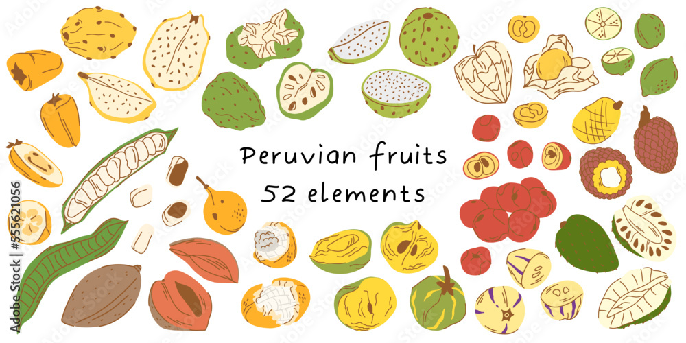 Big set of illustrations of 52 elements. peruvian fruit in peel and cut isolated on white