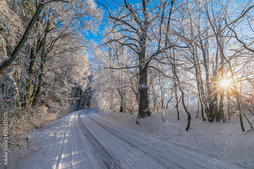 winter, forester, snow