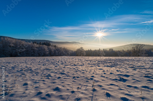 winter  forester  snow