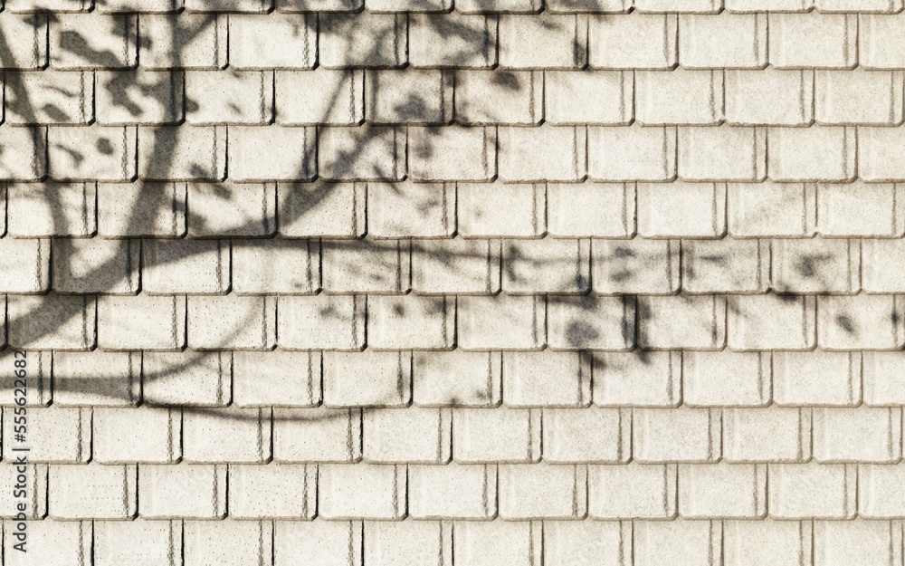 Fototapeta premium old stone wall texture background wallpaper concept 3d render illustration abstract shadow tree sunset sunlight