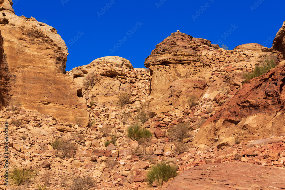 The Siq red rocks, canyon of Petra, Jordan The Siq red rocks, canyon of Petra, Jordan