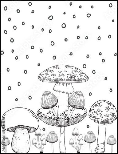 Coloring Book Page For Kids KDP Interior