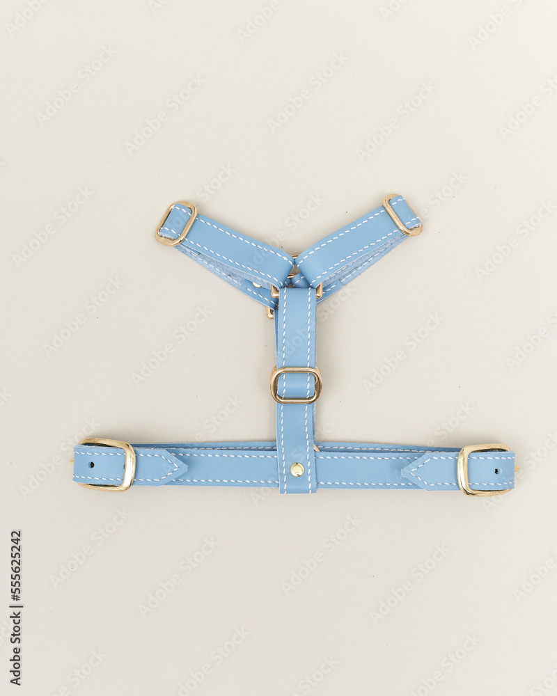 Collage isolated set of leather straps belts accessories collars leashes with rivets for dog pet Collage isolated set of leather straps belts accessories collars leashes with rivets for dog pet