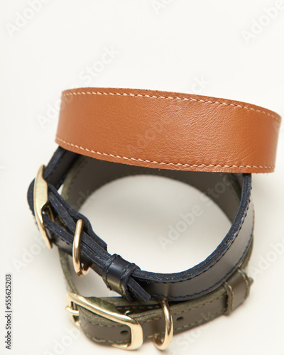 Collage isolated set of leather straps belts accessories collars leashes with rivets for dog pet