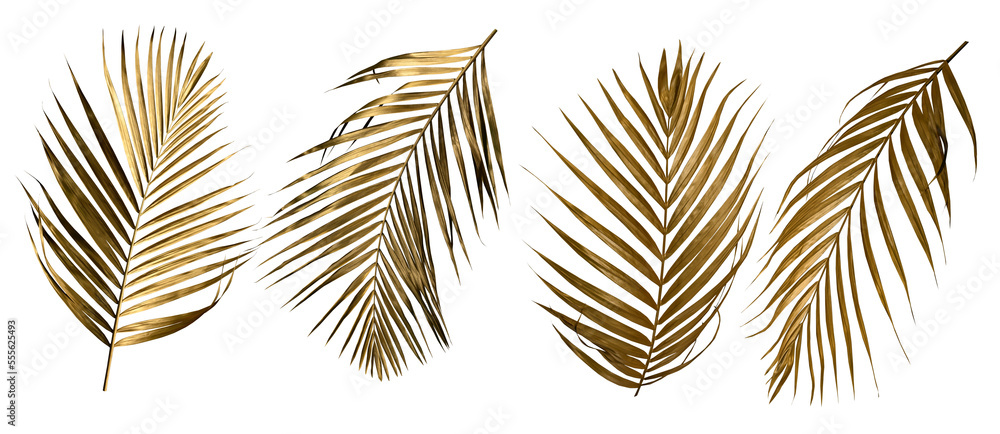 Golden palm leaf PNG on transparent background Abstract monstera leaf ...