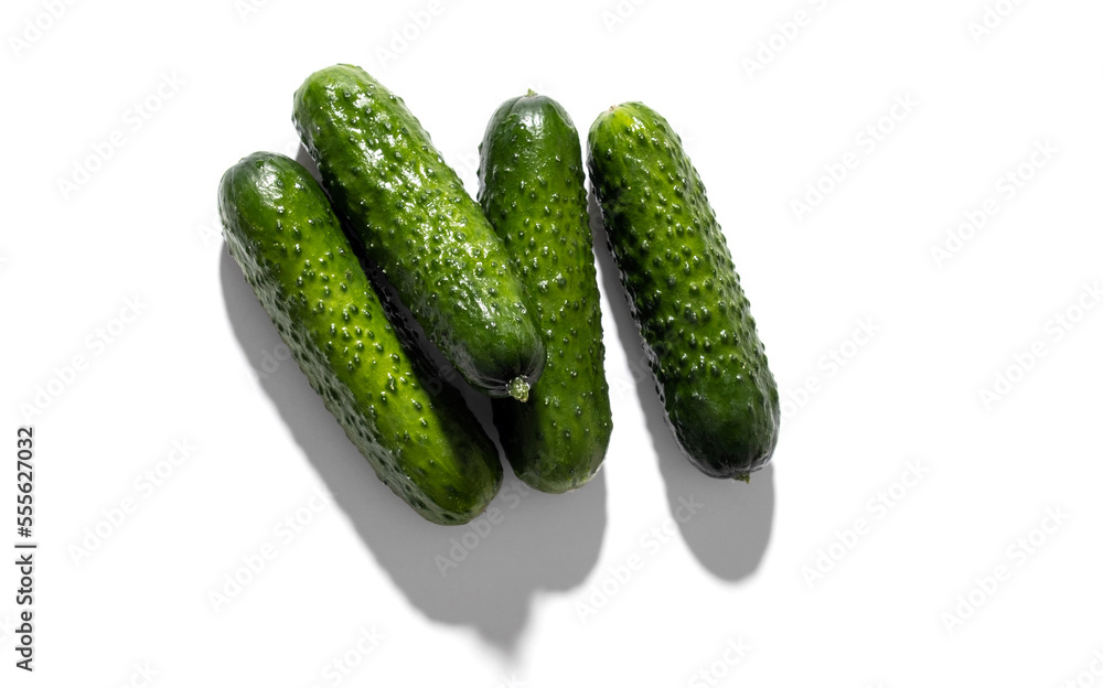 pimply fresh cucumbers isolated on white background. natural farm product. Without GMO. pimply fresh cucumbers isolated on white background. natural farm product. Without GMO.