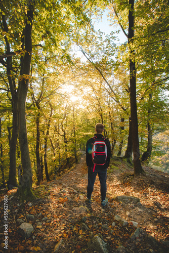 Young adventurer enjoys the last shreds of warm sunset light in a deciduous forest tinged with autumn vibes. October and November. Domasinsky meander, Zilinsky region, Slovakia