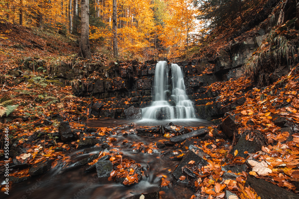 Wonderful cascading waterfall Bystry covered and surrounded by autumn leaves and trees glowing orange-red at the village Čeladná in the heart of Beskydy mountains, Czech republic - obrazy, fototapety, plakaty 