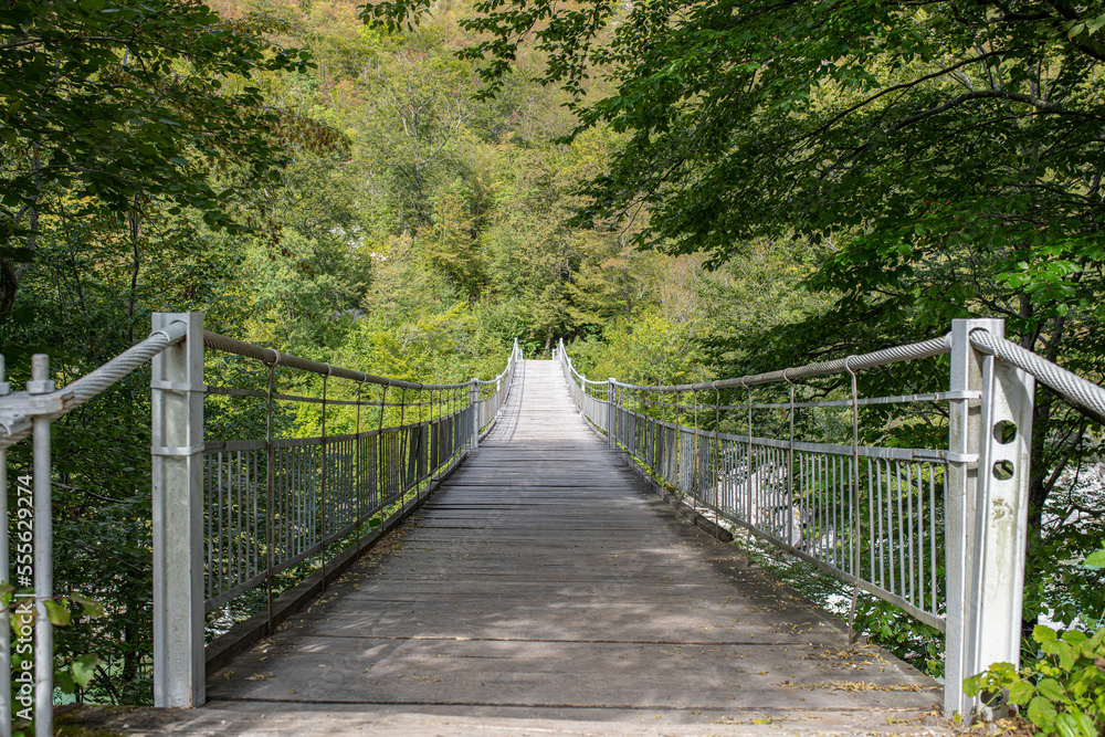 Obraz premium isonzo bridge in srpenica