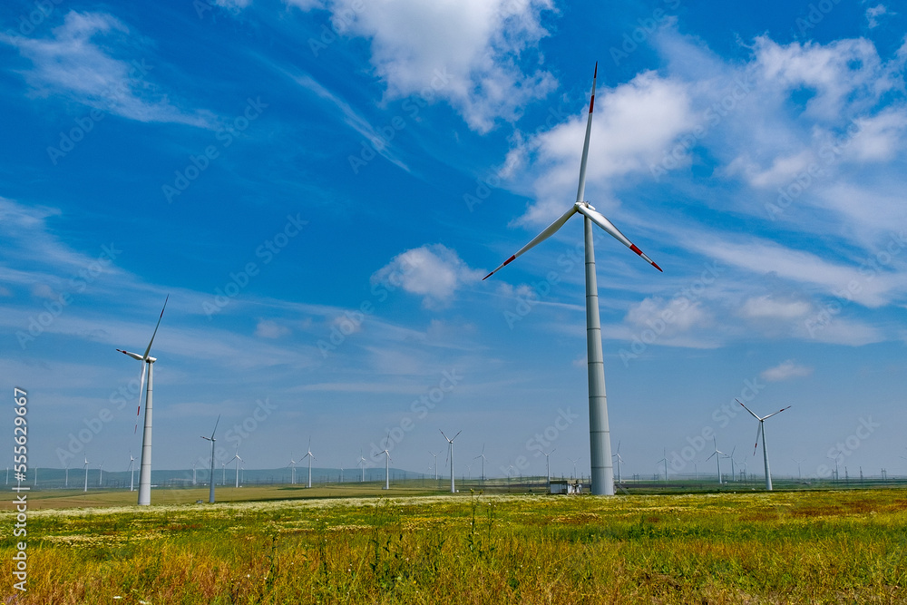 Obraz premium huge wind generators in nature. Green clean energy. Conservation of natural resources thanks to windmills