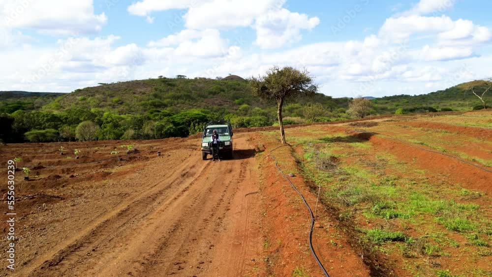 Masai Man flying drone in avocado farm - Africa Smart agriculture technology- Aerial drone view of avocado farm in Kenya. Smart agriculture technology- Aerial drone view of avocado farm in Kenya. Masai Man flying drone in avocado farm - Africa Smart agriculture technology- Aerial drone view of avocado farm in Kenya. Smart agriculture technology- Aerial drone view of avocado farm in Kenya.