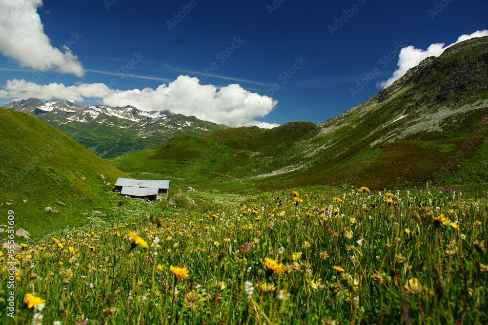 Fototapeta premium Mountains