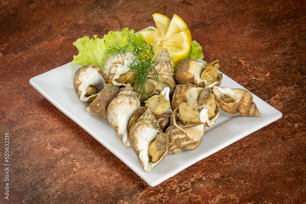 assiette de bulots en gros plan assiette de bulots en gros plan