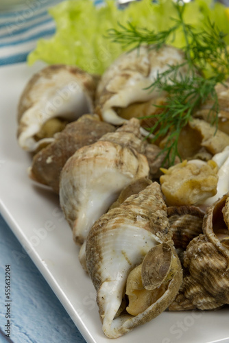 assiette de bulots en gros plan photo