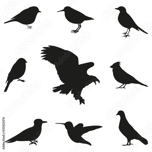 Bird Silhouettes editable vector set