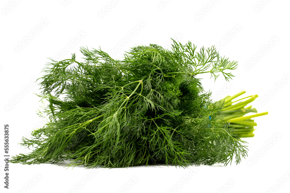 Fototapeta premium Dill isolated on a white background. Clipping Path. Full depth of field. Bunch of dill. close up