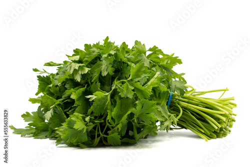 Parsley isolated on a white background. Clipping Path. Full depth of field. Parsley bunch. close up