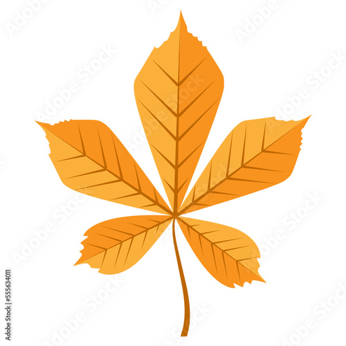 Vector image of leaves from a tree. Autumn leaf fall. A natural design element for web applications, website and social networks. © Savina Daria