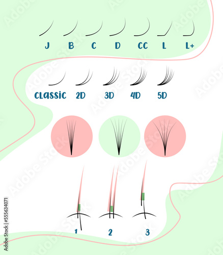 Eyelash extension training poster. Curves and volume of eyelashes Tips and tricks for eyelash extensions. information about eyelash extensions Correct and incorrect attachment.