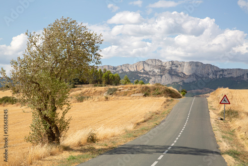 Open Road near Lapoblacion Village, Navarra; Spain photo