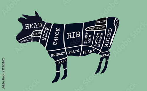 Cow, beef. Scheme for cutting beef carcasses in English. photo