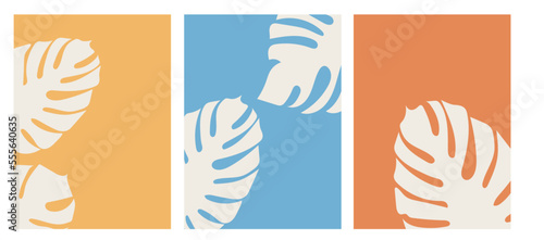Collection of modern simple minimalist abstract with monstera leaves on colored background