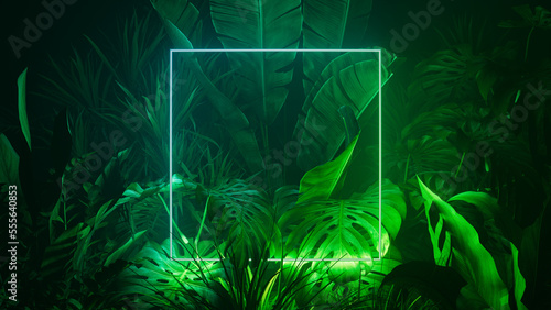 Tropical Plants Illuminated with Blue and Green Fluorescent Light. Nature Environment with Square shaped Neon Frame. photo