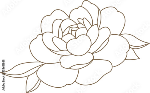 Peony flowers in line art style Contemporary floral design