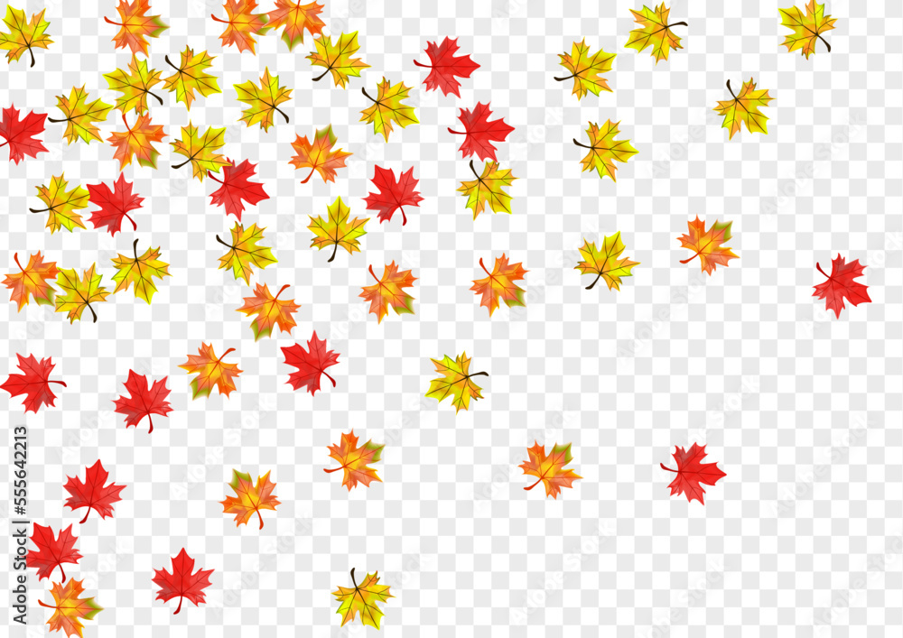 Autumnal Leaf Background Transparent Vector. Plant Ground Illustration. Colorful Tree Foliage. Nature Leaves Design.