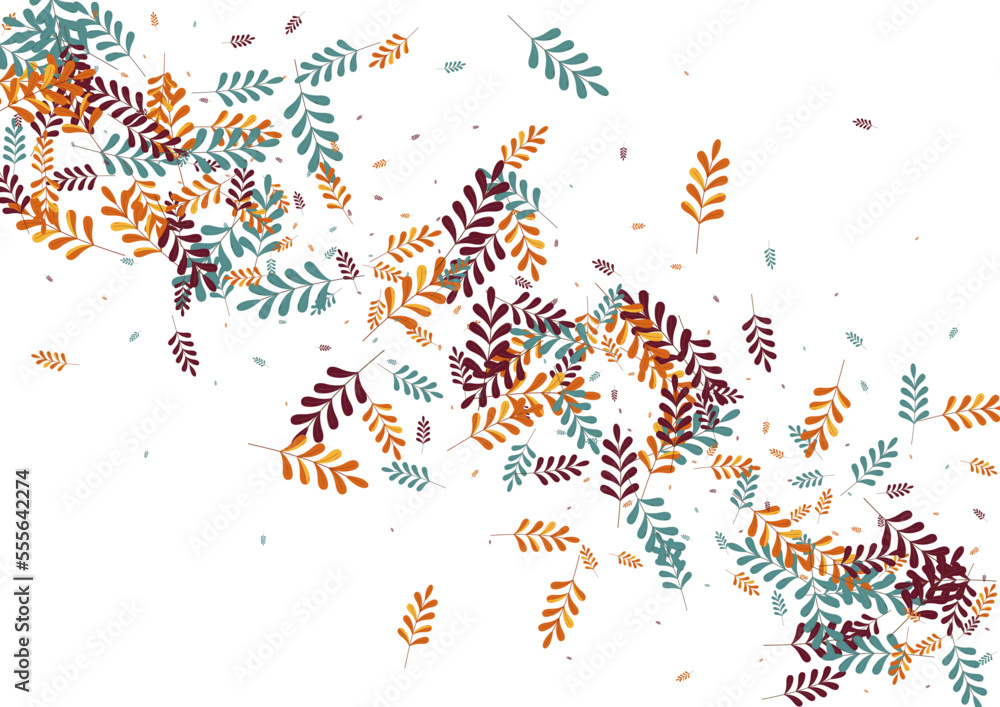Red Leaves Background White Vector. Herb Natural Design. Gold Leaf. Brown Foliage Fly. Season Frame.