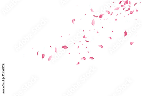 Fototapeta Naklejka Na Ścianę i Meble -  Red Sakura Spring Vector White Background.