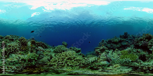Coral garden seascape and underwater world. Colorful tropical coral reefs. Life coral reef. Philippines. 360 panorama VR