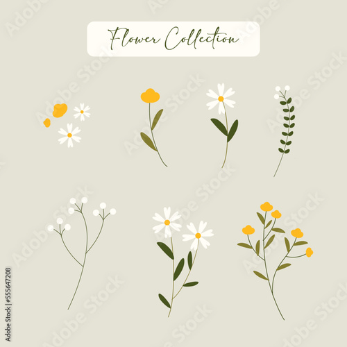 Set of Flowers hand drawn vector art for decoration. Daisy and yellow flower element. Flowers collection. Isolated.